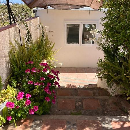 La Penita - Sunny Guesthouse With Private Pool And Garden Salobreña Екстериор снимка